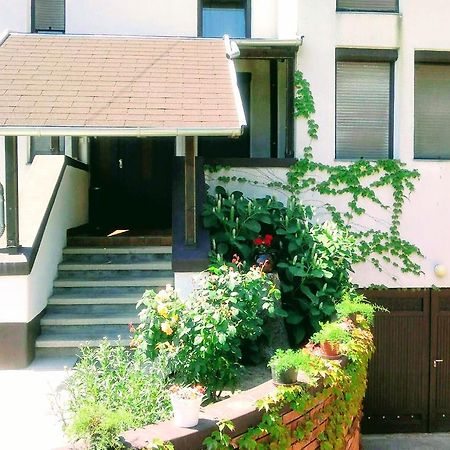 Апартаменти Rozsahegyi No.5 Сіглігет Екстер'єр фото