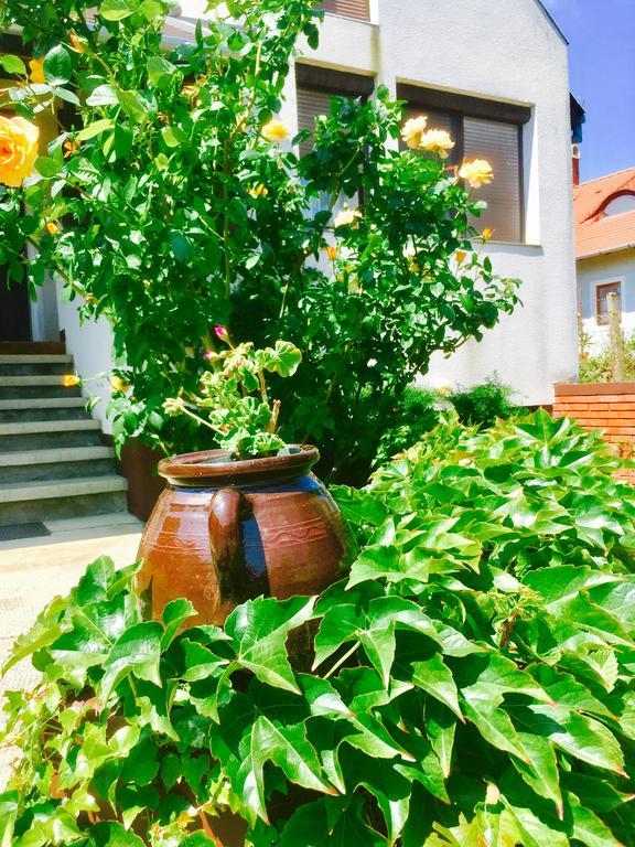 Апартаменти Rozsahegyi No.5 Сіглігет Екстер'єр фото